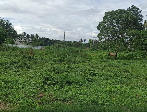 Residential Farm type For Sale in Hacienda Escudero Tiaong Quezon