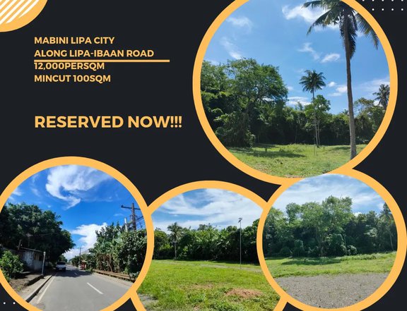 Residential / Commercial Lot for Sale Along Lipa - Ibaan Road