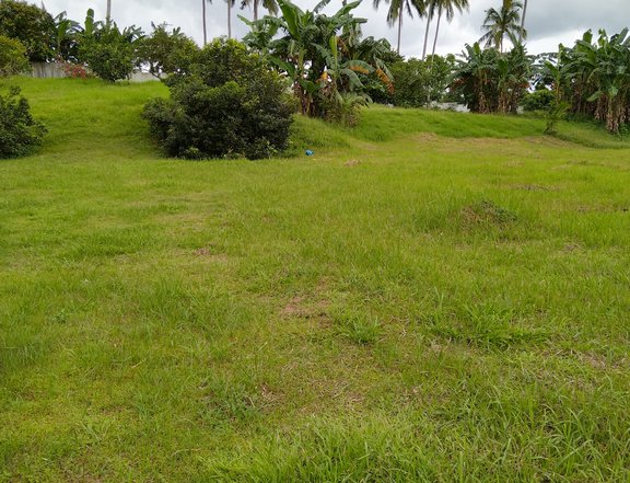 Farm Lot for Sale in Batangas