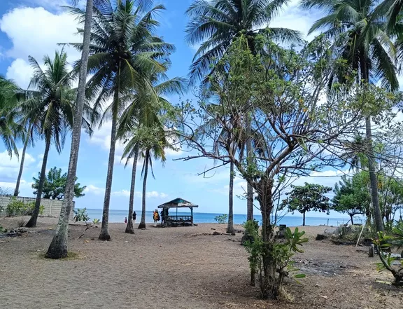 Near the Beach Residential Lots for Sale in Laiya San Juan Batangas