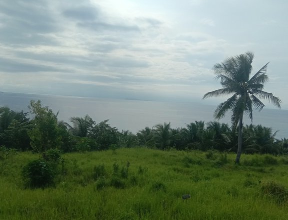 100 sqm Beach Property For Sale in Siruma Camarines Sur