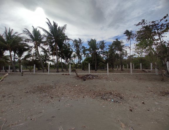 Rare 22738 sqm BeachFront Property For Sale in San Juan Batangas