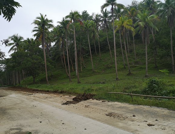 66,676 sqm  Raw Land  For Sale in Butuan, Agusan del Norte