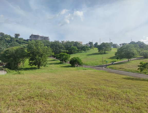 Overlooking Lot for Sale in Taytay Rizal - The Peak at Havila