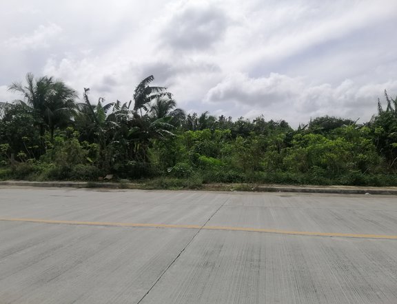 17,505 sqm Residential Farm Lot for SALE in Silang Cavite