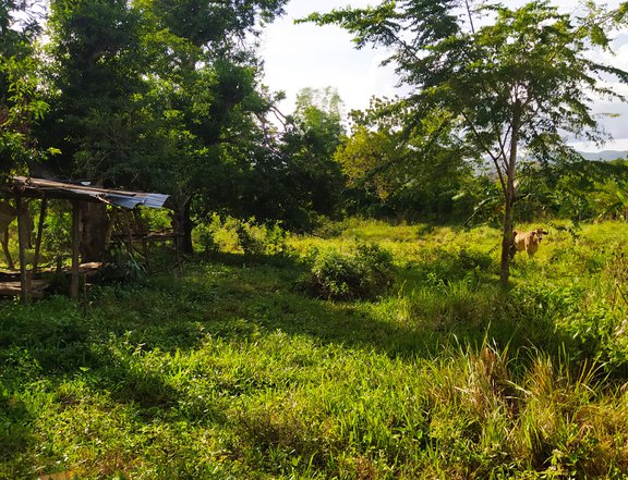 2,323 sqm Residential Farm For Sale in Carcar Cebu