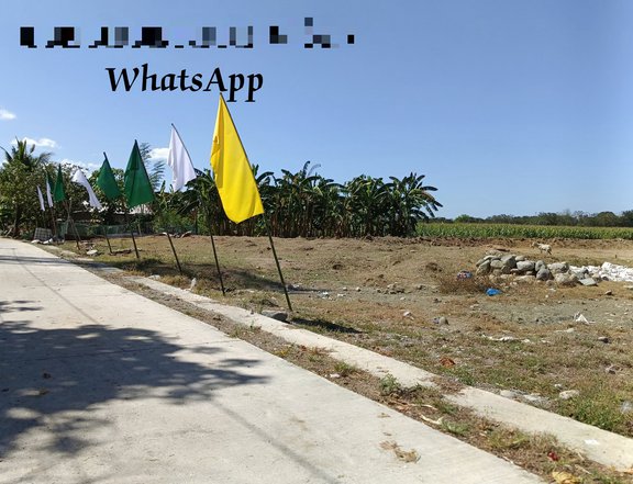 Titled Residential Lot For Sale in Mapandan, Pangasinan