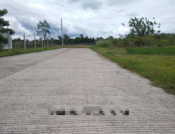 154 sqm Residential Lot For Sale in Polomolok South Cotabato