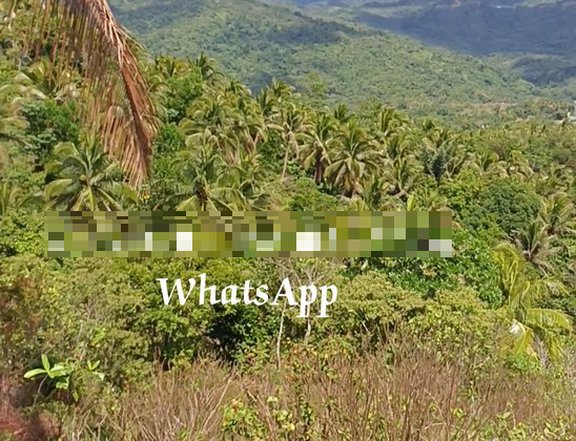 1000sqm TITLED FARM LOT -MADILAY DILAY TANAY RIZAL