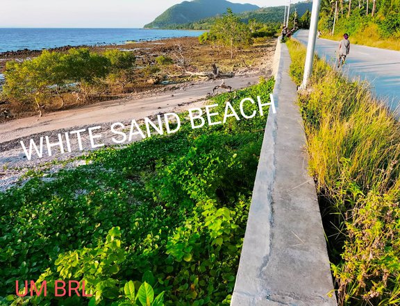7727 sqm Titled  Beach Property For Sale in Barili Cebu