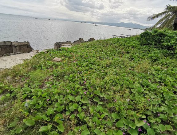 5408 sqm lot for sale with shoreline at pooc talisay cebu