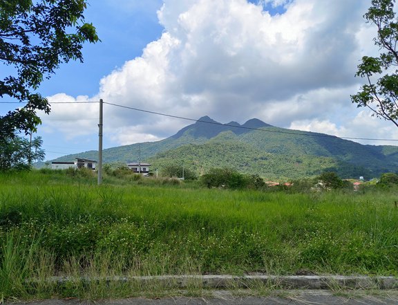LOT for SALE in STO. TOMAS BATANGAS