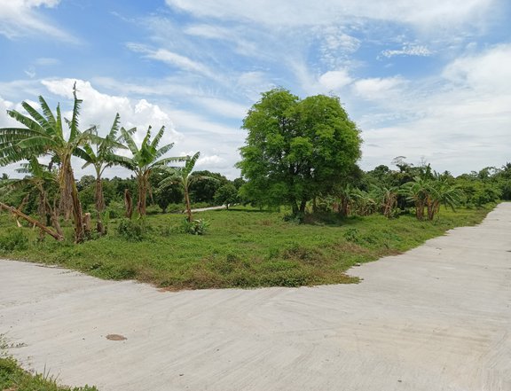 500 sqm Residential Farm For Sale in Alfonso Cavite