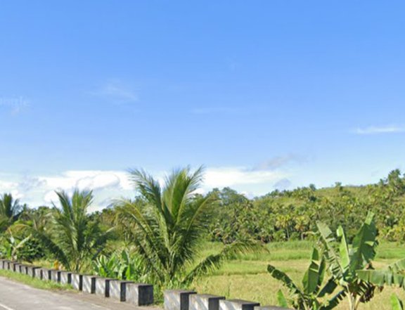 2.8 hectares Residential Farm for Sale in Gandara, Samar ,9667993885