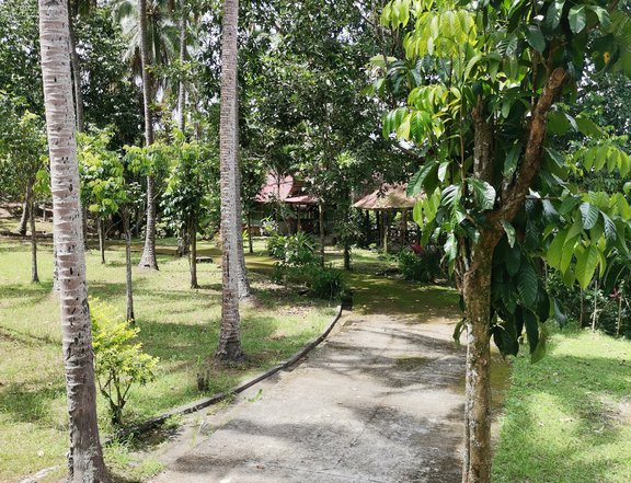 5.4 HECTARES AGRICULTURAL FARM FOR SALE IN LIPA BATANGAS