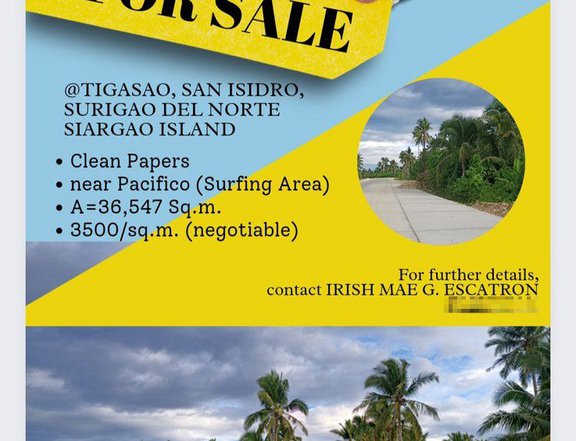 3.65 hectares Residential Farm Lot For Sale in San Isidro