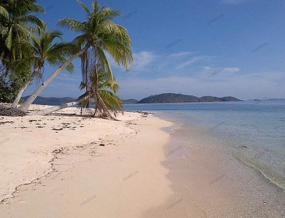 An Island Resort For Sale in Linapacan Palawan