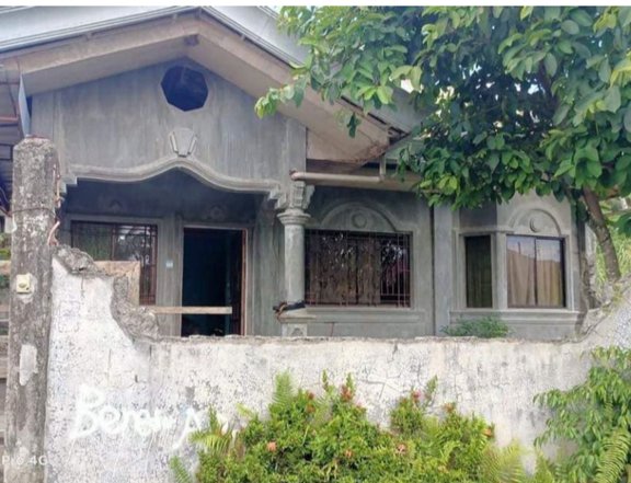 House and lot for sale in Tagum Davao Del Norte.