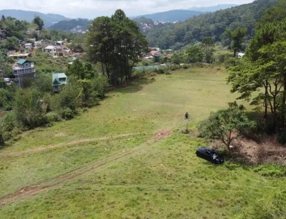 250 sqm Residential Lot For Sale in Baguio City Economic Zone Baguio