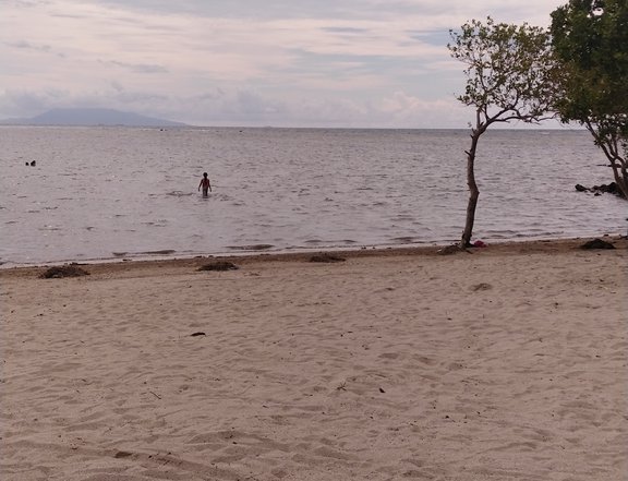 Pre selling 150 sqm Beach Property For Sale in Calatagan Batangas
