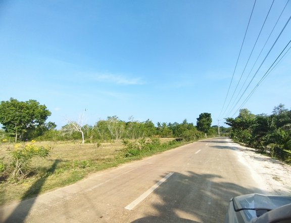 1990 sqm Commercial Lot for sale In Libaong, Panglao