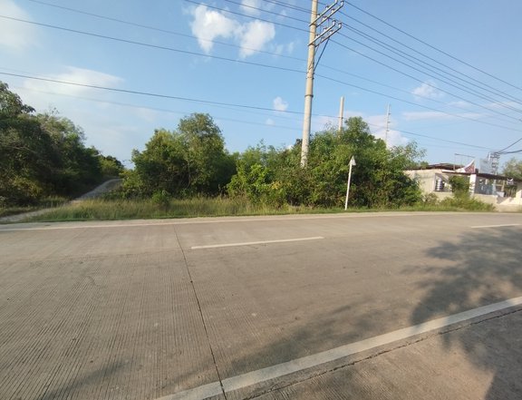 3,655 sqm Commercial Lot For Sale in Panglao Bohol