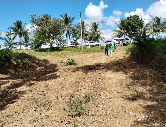 Residential- Farm lot for sale in Magallanes Cavite