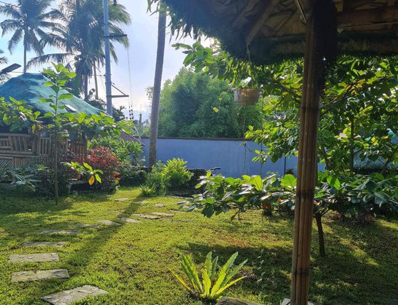 Rest house/ mini farm 1,563 sqm lot area in Nagcarlan Laguna