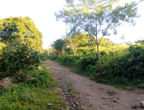 Raw land with overlooking view for sale @ Pililia, Rizal