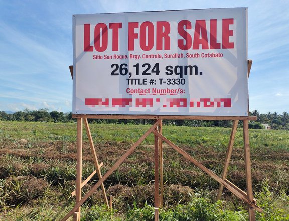2.61 hectares Agricultural Farm For Sale in Surallah South Cotabato
