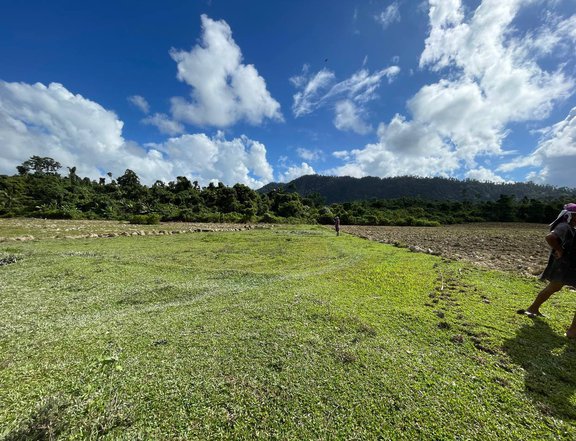 14.8 hectares Agricultural Farm For Sale in Roxas Palawan