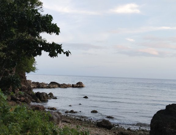 2.3 hectares beach property for sale in Tudela , camotes ,Cebu