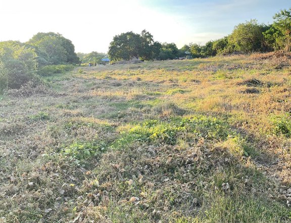 3,000 sqm Raw Land For Sale in Calatagan Batangas