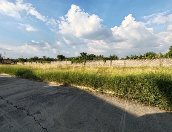 90 sqm Residential Lot For Sale in Camella Tarlac City