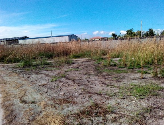 1 hectare Residential Farm For Sale in Mabalacat Pampanga
