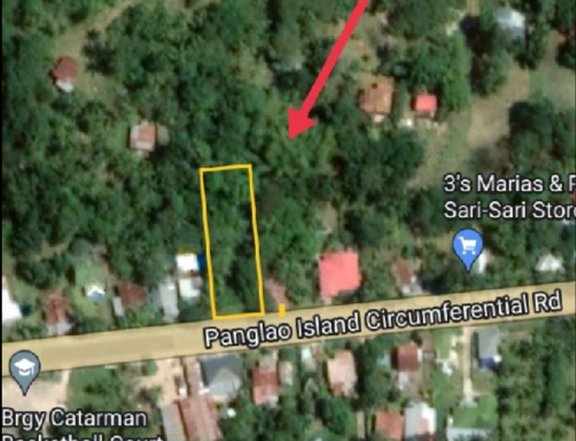 1,478 sqm Commercial Lot For Sale