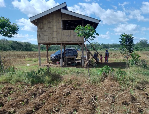 Residential Farm Lot For Sale