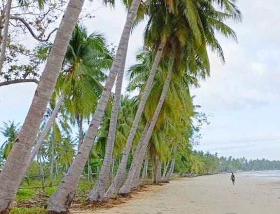 3.9 hectares Beach Property For Sale in Bataraza, Palawan