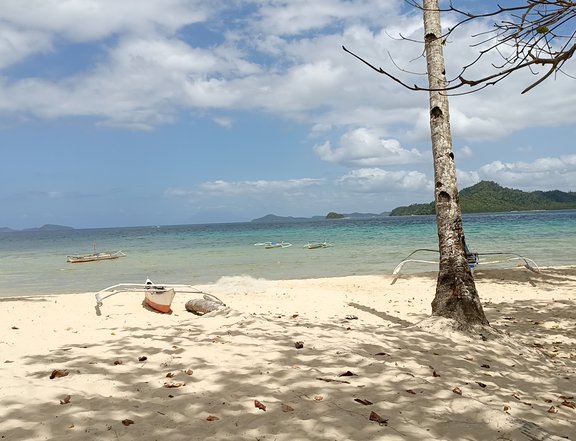 6,099 sqm Beach Property For Sale in San Vicente Palawan