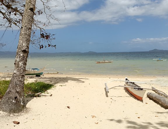 2,033sqm Beach lot Port Barton Palawan