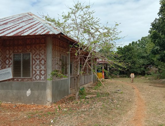 Lot with pig Farm for sale in Bantayan Cebu