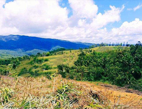Affordable Titled lot for sale in Tanay,RiZaL