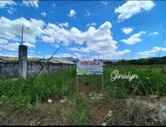 515 sqm Residential Lot Commercial Area For Sale in Subic Zambales