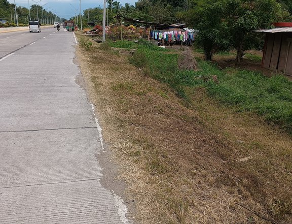 1.9 Hectare, Along National Highway. 6 minutes to Gaisano Mall.