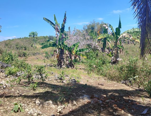 200 sqm Residential Farm For Sale in Borbon Cebu