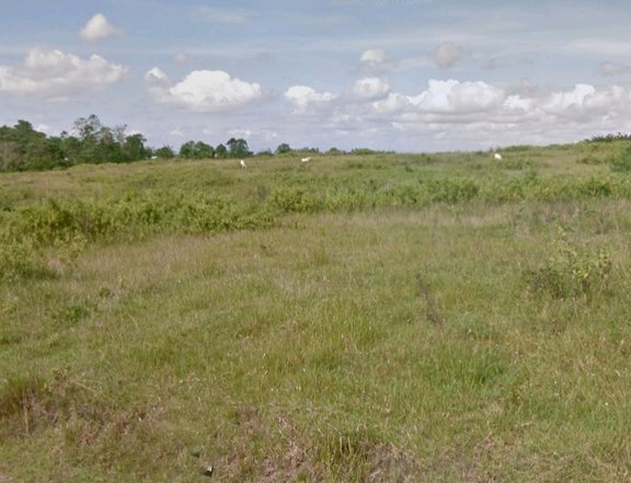 agricultural land for sale