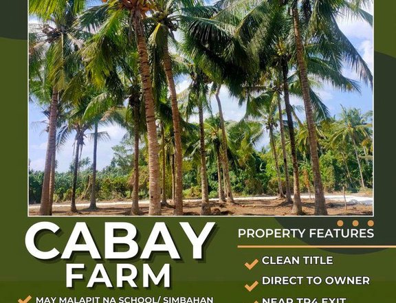 Murang Farm Lot for sale in tiaong Quezon