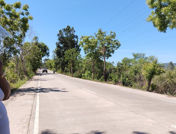 2 hectares lot for sale in Camotes Island , along national highway