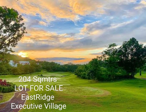 204 sqm Residential Lot For Sale in Binangonan Rizal