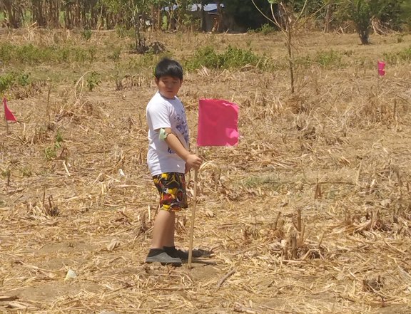 FARMLOT WITH GLAMPING CONCEPT NEAR BRGY ROAD